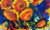 Flowers #37