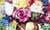 Flowers #56